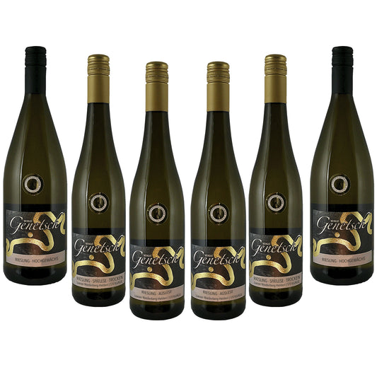 Weinpaket: Von der Basis zur Spitze